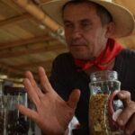 Coffee Tour in Medellin - Who Should Consider This Tour?