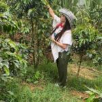 Coffee tour in Medellín with tastings and transportation - Practicalities and Value