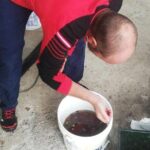 Coffee Tour Los Sauces - A Closer Look at the Coffee Tour Los Sauces Experience