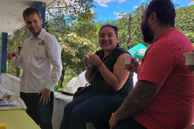 Coffee tour Medellin - A Deep Dive into the Coffee Tour Medellín Experience