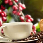 Coffee tour & rum tasting - Who Should Book This Tour?