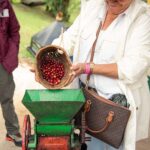 Coffee Tour Salento-Ocaso Farm- English Tour - A Closer Look at What You Can Expect from the Coffee Tour