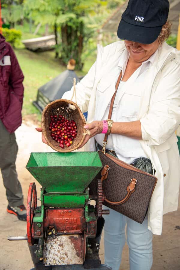 Coffee Tour Salento-Ocaso Farm- English Tour - A Closer Look at What You Can Expect from the Coffee Tour