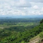 Coffee Tour, Sighting Pereira - Final Thoughts