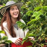 Coffee tour with cable car in Medellin - In-Depth Review: Exploring Medellín’s Coffee and Community