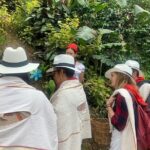 Coffee tour+Guatape - A Closer Look at the Tour Itself