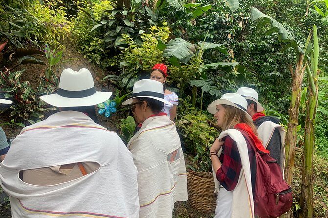 Coffee tour+Guatape - A Closer Look at the Tour Itself