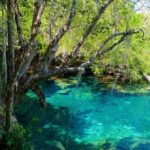 Cofresi Palm Beach & Spa Resort - Puerto Plata Airport - Practical Tips for Travelers