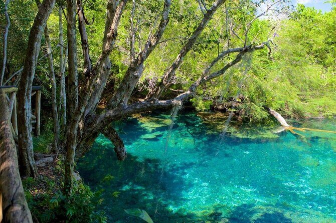 Cofresi Palm Beach & Spa Resort - Puerto Plata Airport - Practical Tips for Travelers