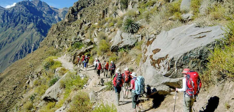 Colca Canyon Trekking 2 days - An In-Depth Look at the Colca Canyon Trekking 2 Days