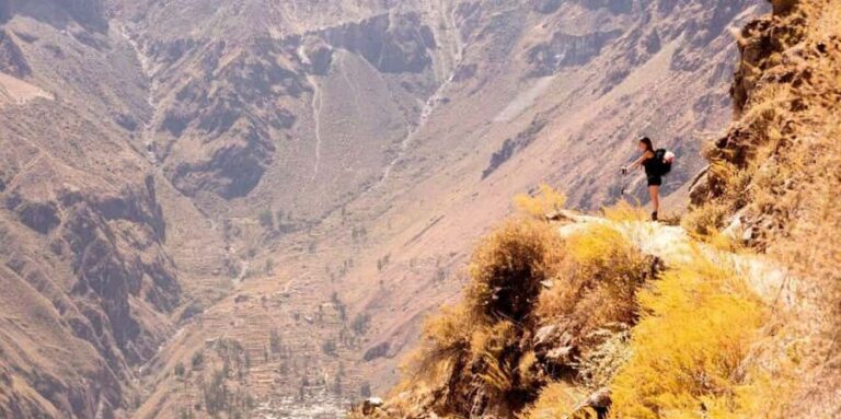 Colca Canyon Trip 2 Days + Transfer to Puno with Meals - Practical Details and Value