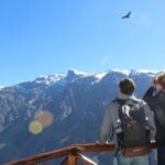 Colca Full Day Tour - The Long But Rewarding Journey