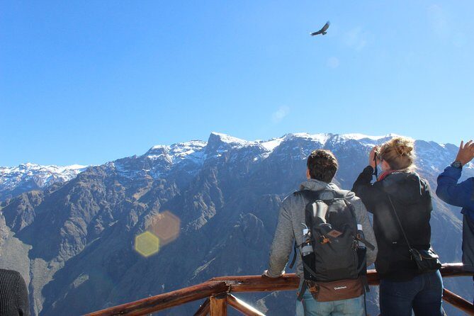 Colca Full Day Tour - The Long But Rewarding Journey