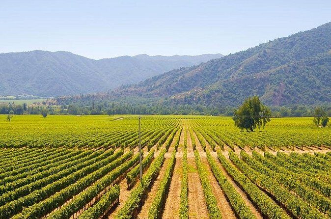 Colchagua Full Day Wine Tour: Casa Silva & L'Apostolle Wineries - Value and Pricing: What’s Included?