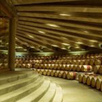 Colchagua Valley Experience - Who Will Love This Tour?