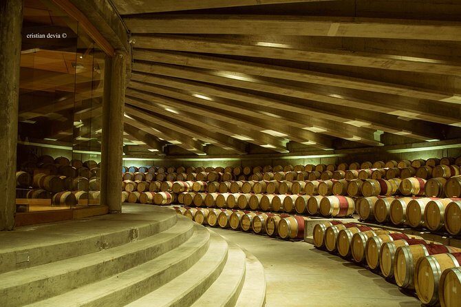 Colchagua Valley Experience - Who Will Love This Tour?