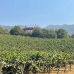 Colchagua Valley Private Tour: Montes + Clos Apalta - What Makes This Tour Stand Out?