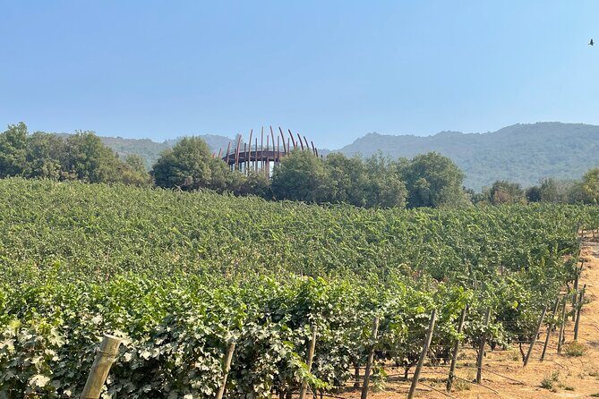 Colchagua Valley Private Tour: Montes + Clos Apalta - What Makes This Tour Stand Out?