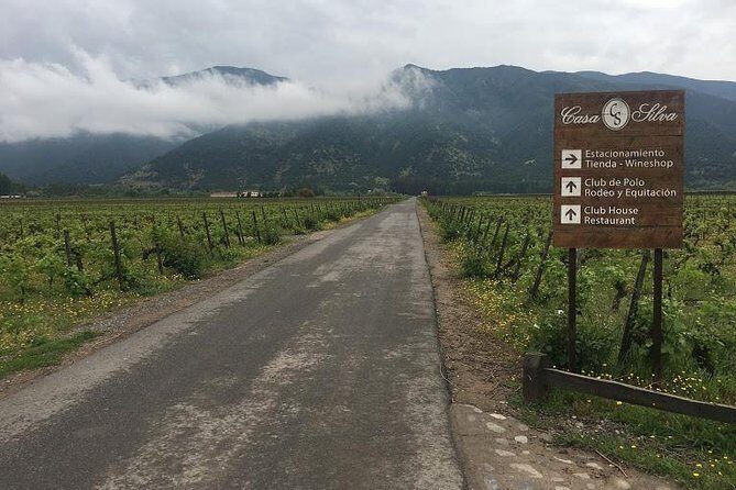 Colchagua Valley - The Sum Up: Is This Tour Right for You?