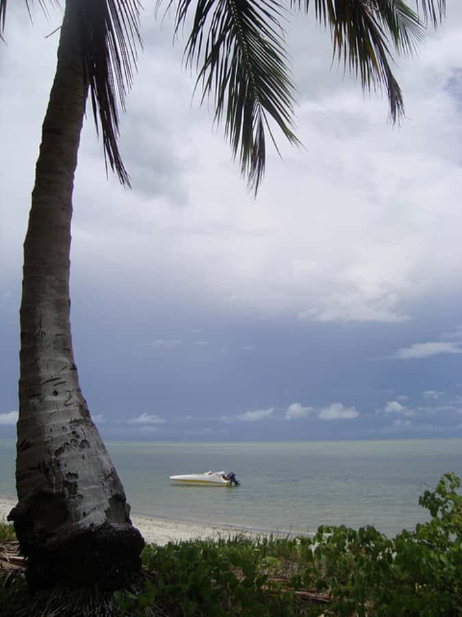 Colonial North Coast beaches - Full-Day Tour - Final Thoughts: Is This Tour Right for You?