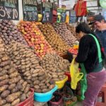Colors of Barranco & Callao Port, including Real Felipe Fortress - Who Will Love This Tour?