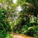 Combination: Argyle Waterfall & Tropical Garden with Hummingbirds - A Detailed Look at the Tour Experience