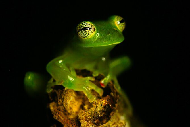 Combined Tour all day Bridges + Volcano + Lunch + Waterfall - Who Will Love This Tour?