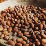 Combo 2: Chocolate Tour & Jungle Night Tour - Why Choose This Tour?