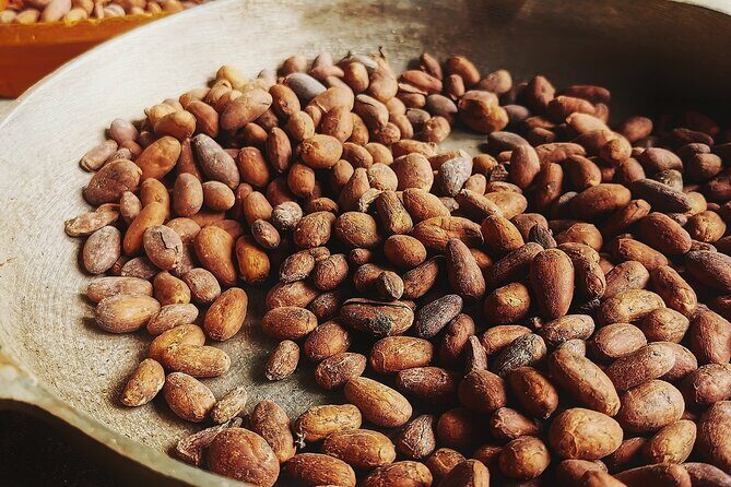 Combo 2: Chocolate Tour & Jungle Night Tour - Why Choose This Tour?