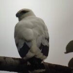 Combo 3 Best Tours In La Fortuna - What Makes This Tour Truly Special?