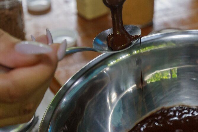 Combo 3: Manuel Antonio Park Tour & Chocolate Tour - Encountering Costa Rican Wildlife Up Close