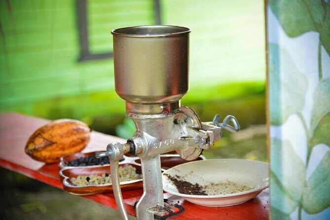 Combo: Adventure in ATV and Monkeys - Who Will Love This Tour?