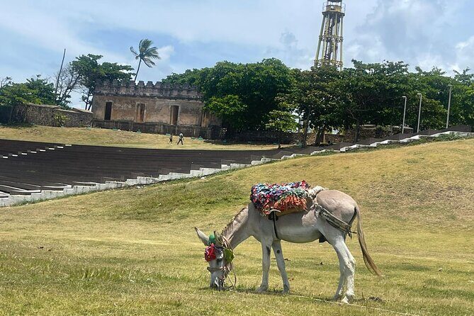 Combo : ATV Adventure with City Tour in Puerto Plata - FAQs