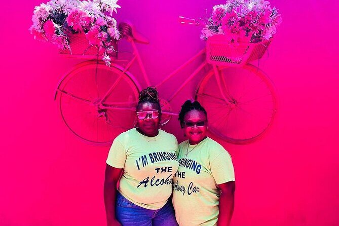 Combo : Damajagua Waterfalls and City Tour with Dominican Lunch - What Travelers Say