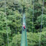 Combo: Day Trip to Hanging Bridges + ZipLine in Monteverde - Who Should Consider This Tour?