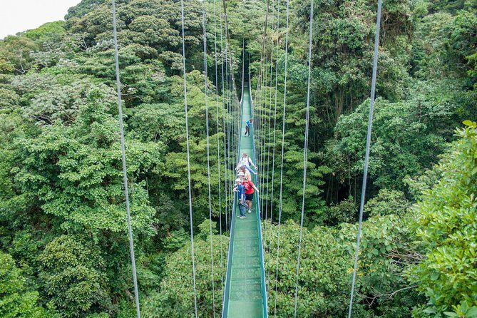 Combo: Day Trip to Hanging Bridges + ZipLine in Monteverde - Who Should Consider This Tour?