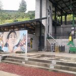 Combo tour Poas Volcano and La Paz waterfall and Coffee tour - Who Should Consider This Tour?