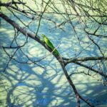 Community and Biodiversity Tour of the Tatacoa Neiva Desert - Why This Tour Works Well for Travelers