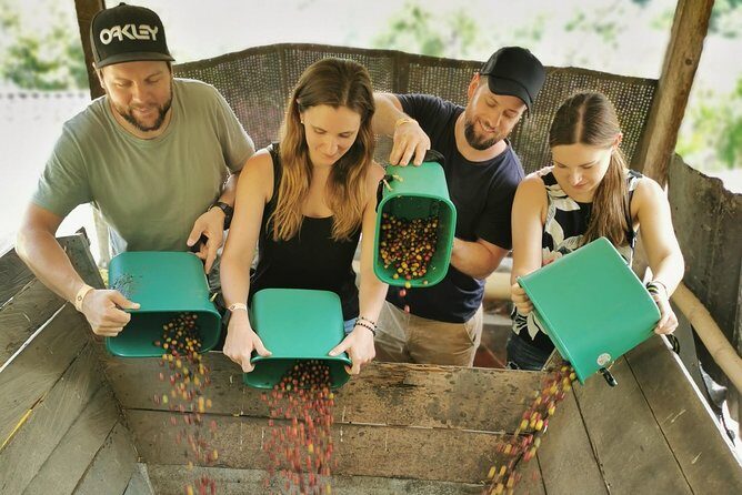 Comuna 13 & Coffee Farm Private Tour in Medellin: The Best Combo - Why Choose This Tour?