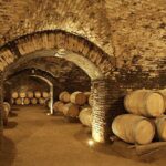 Concha y toro vineyard tour - The Sum Up: Who Will Enjoy This Tour?