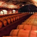 Concha y Toro Vineyard Tour From Santiago - An In-Depth Look at the Concha y Toro Vineyard Tour