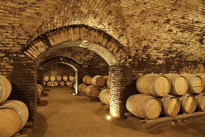 Concha y toro vineyard tour - The Sum Up: Who Will Enjoy This Tour?