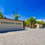 Concha y toro Wine tour - Final Thoughts