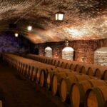 Concha y Toro Wine Tour with Dinner at the Winery - A Detailed Look at the Concha y Toro Experience