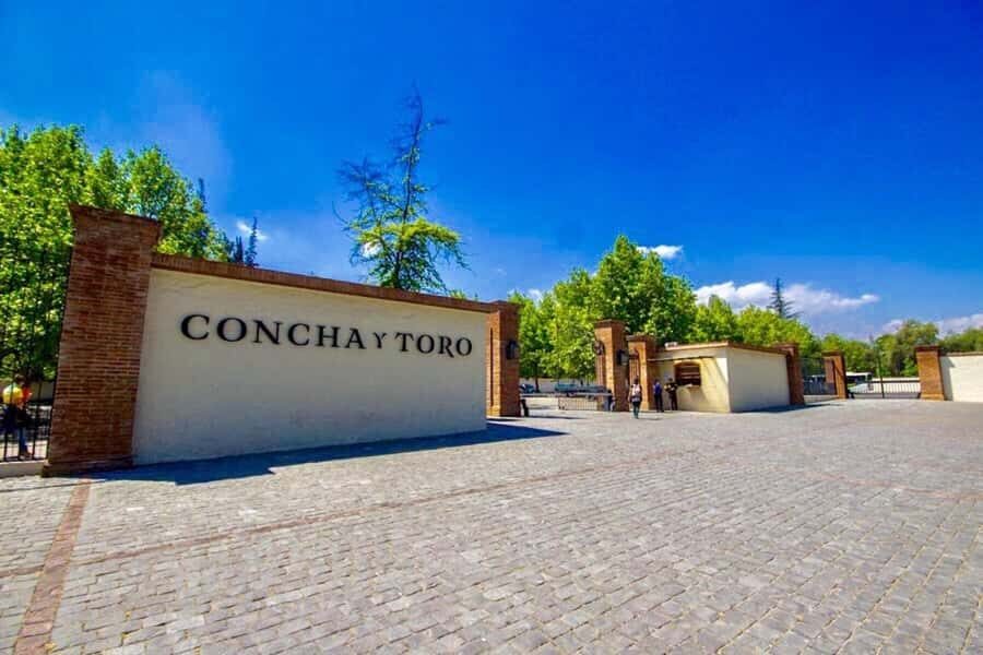 Concha y toro Wine tour - Final Thoughts