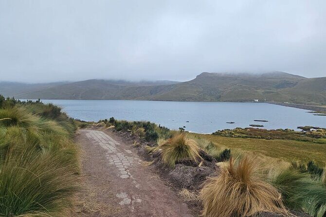 Condor Sanctuary in Antisana Park and Hummingbird Observatory - FAQ: Your Practical Questions Answered