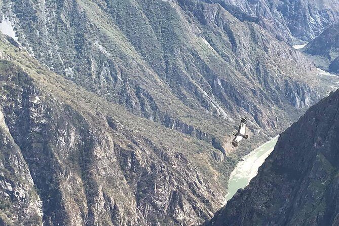 Condor Tour from Cusco - 1 Day - Frequently Asked Questions