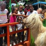 Connors Farms Petting Zoo - Considerations and Tips for Visitors