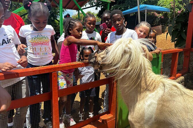 Connors Farms Petting Zoo - Considerations and Tips for Visitors