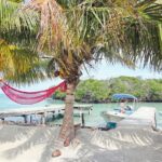 Cook Your Catch-Private Island Picnic - Who Will Love This Tour?